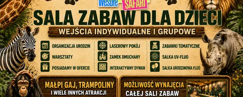 Bawialnia Wesołe Safari Czeladź