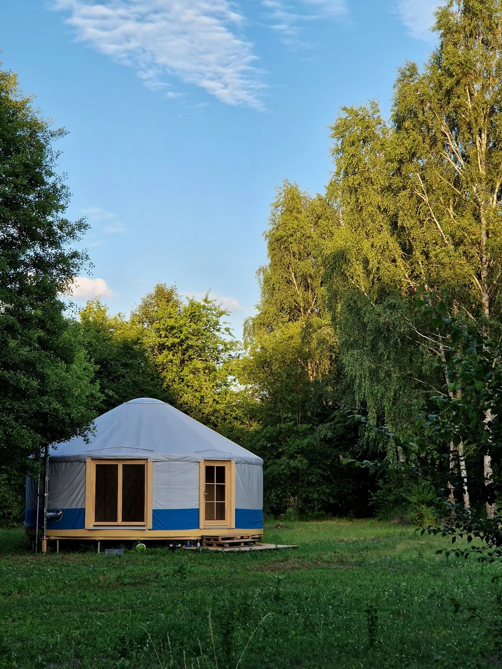Photo of Podróżne Drzewa Leśne Warsztaty, Półkolonie, Urodzinki Poznań