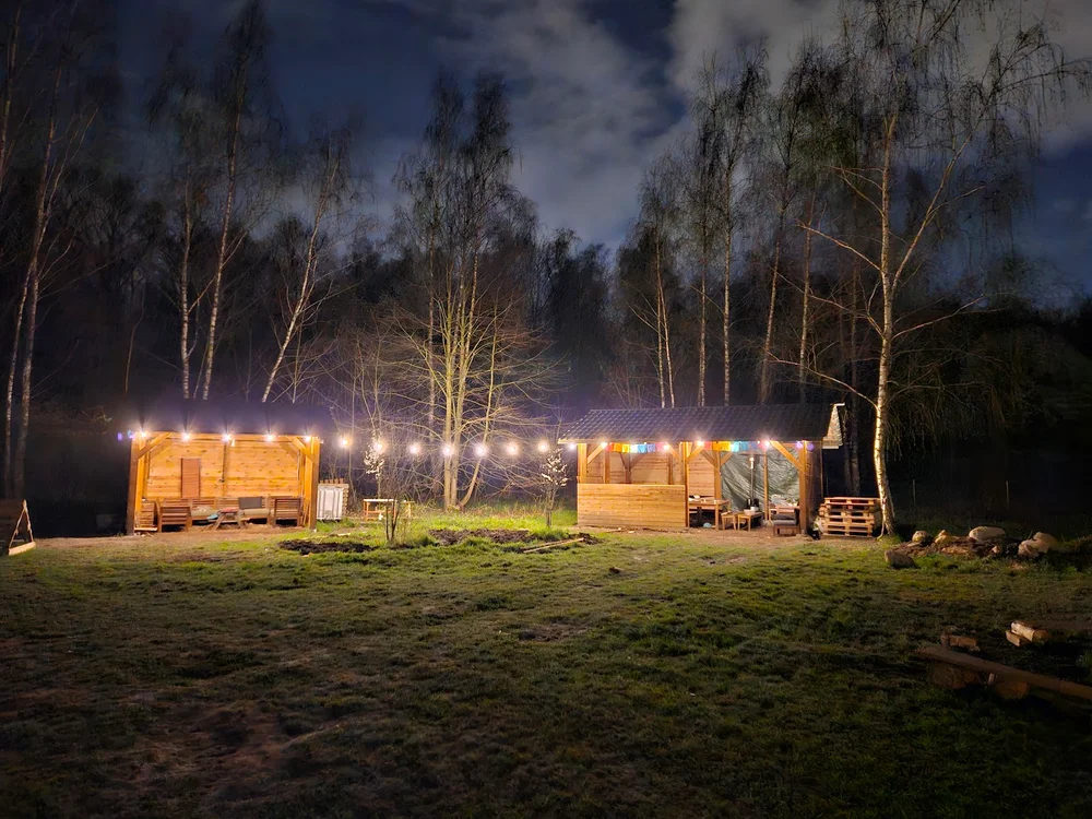 Photo of Podróżne Drzewa Leśne Warsztaty, Półkolonie, Urodzinki Poznań