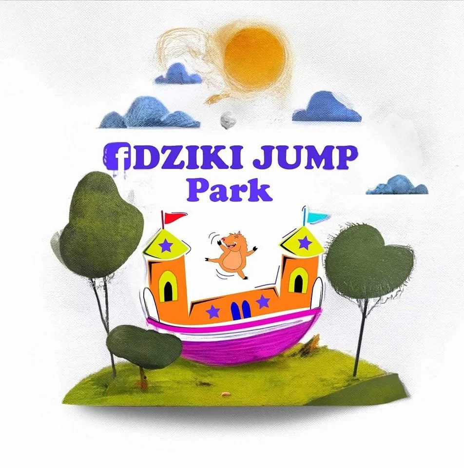 DZIKI JUMP PARK sala zabaw - zdjęcie sali zabaw 4