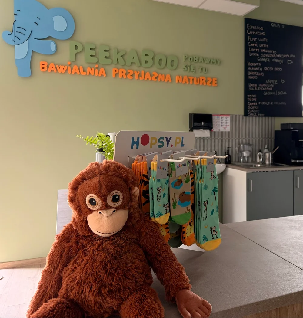 Bawialnia Peekaboo pobawmy się tu - zdjęcie sali zabaw 2