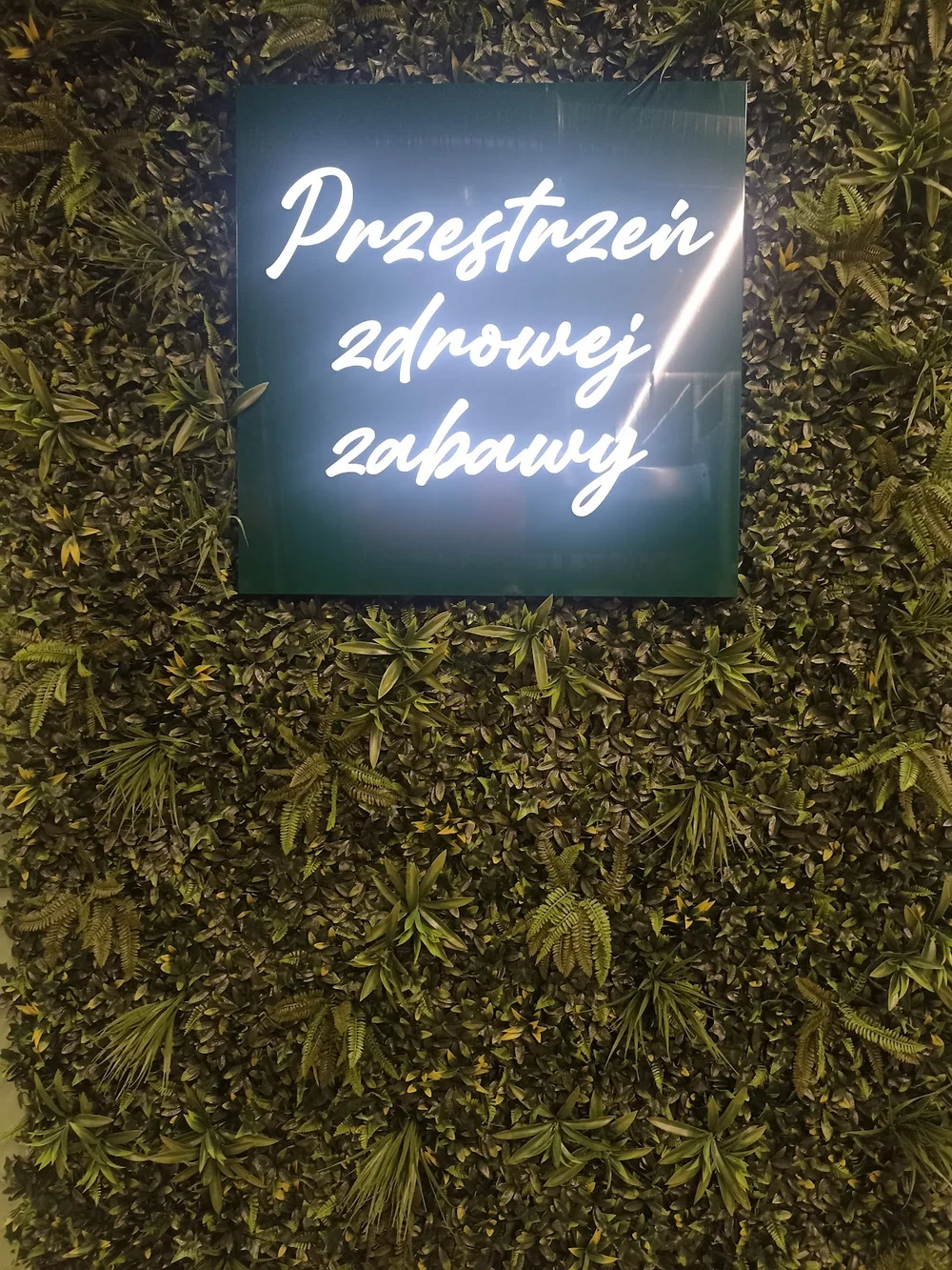 Photo of Sala zabaw Xtreme KiDS Pabianice