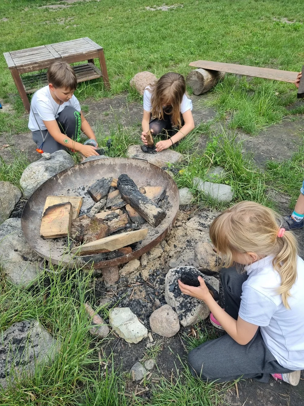 Photo of Podróżne Drzewa Leśne Warsztaty, Półkolonie, Urodzinki Poznań