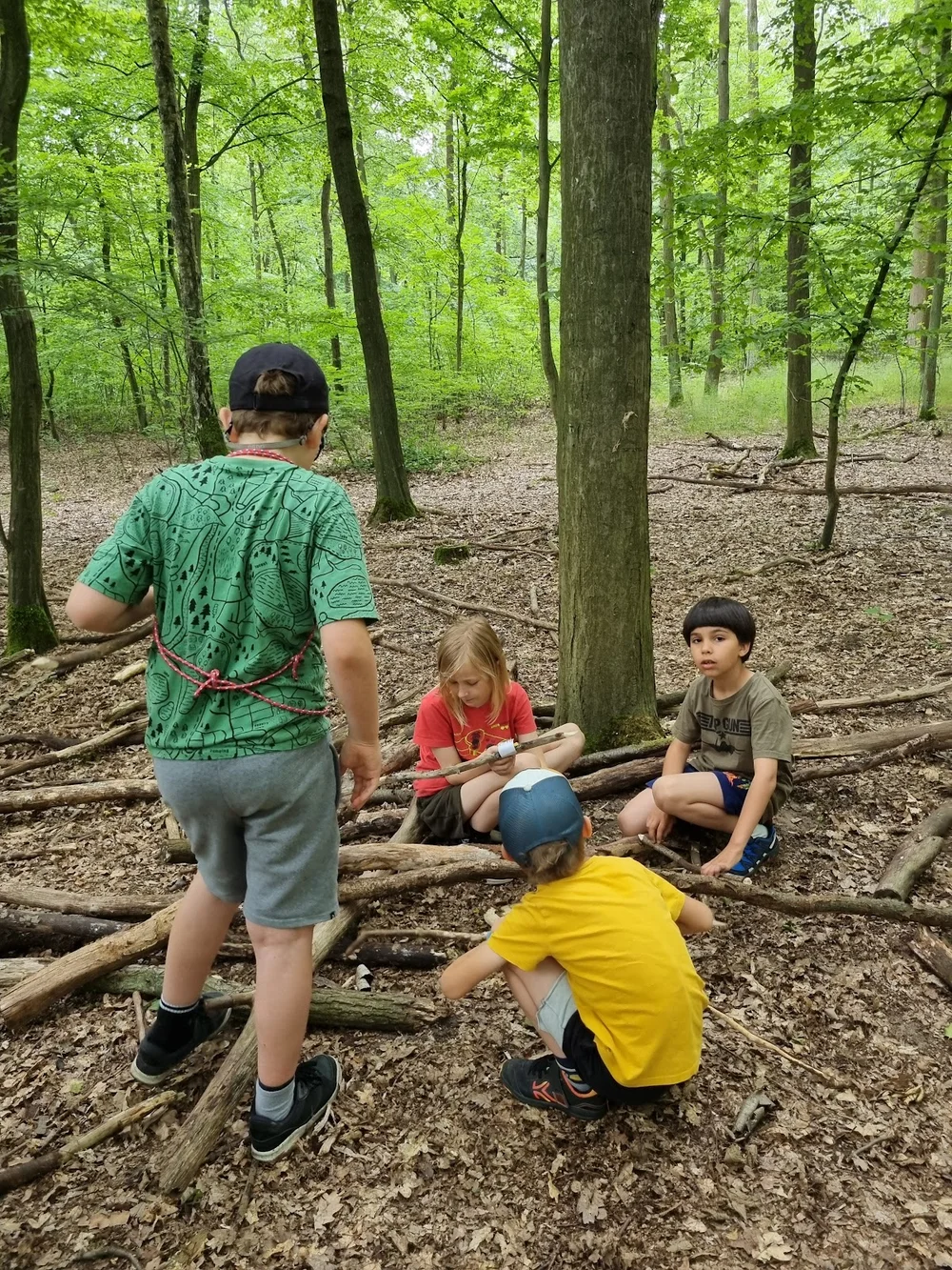 Podróżne Drzewa Leśne Warsztaty, Półkolonie, Urodzinki Poznań