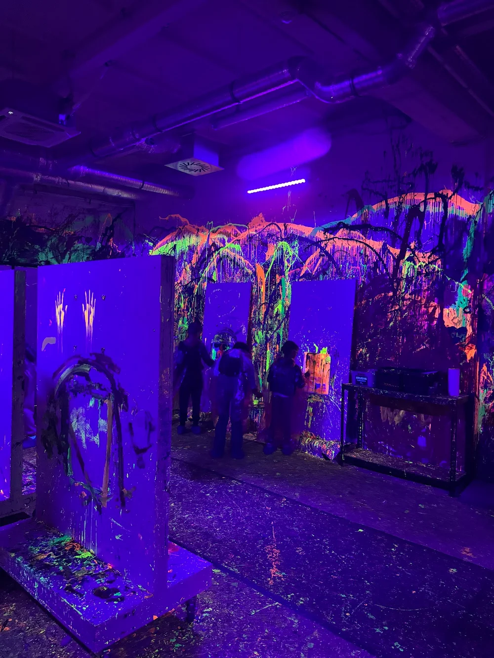 Pigcasso Creative Paint House - zdjęcie sali zabaw 2