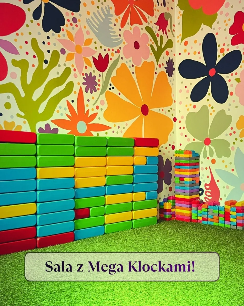Sala Zabaw SensoZamek (bawialnia sensoryczna) - zdjęcie sali zabaw 5
