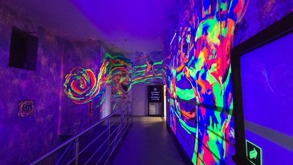 Pigcasso Creative Paint House - zdjęcie sali zabaw 5
