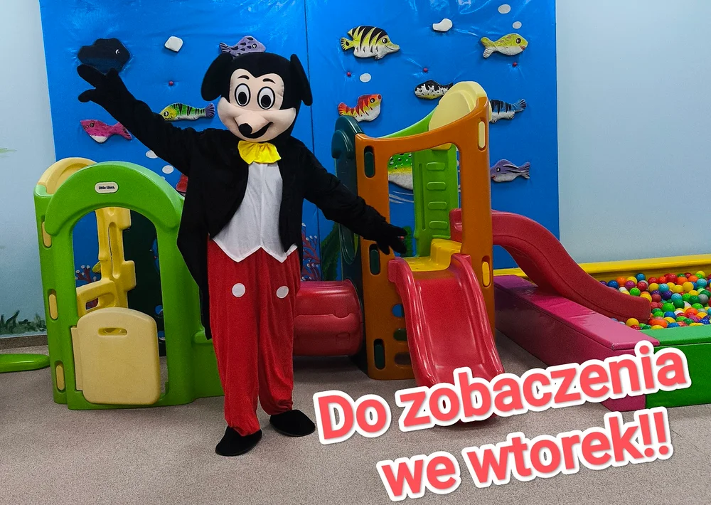 Nowa Era FIKU MIKU Sala zabaw dla dzieci - zdjęcie sali zabaw 4